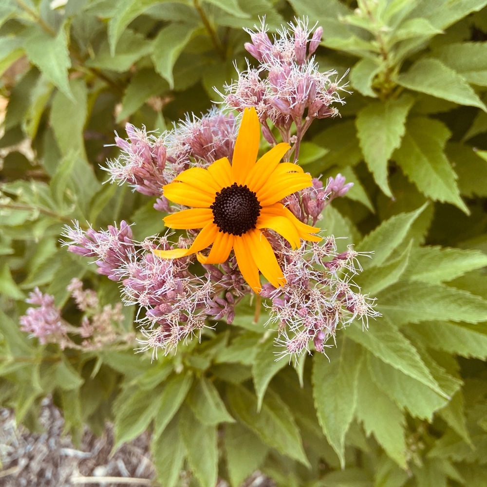 Meet your Posher, Gabriela